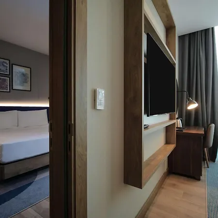 Hilton Garden Cankaya 安卡拉