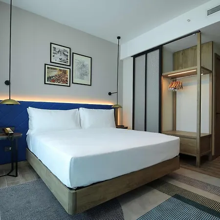 Hilton Garden Cankaya 酒店